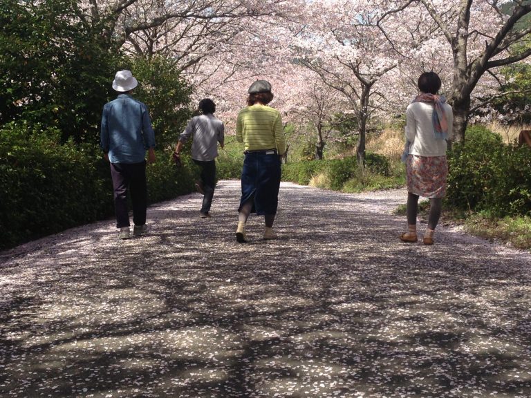 自分の道は自分で切り開く