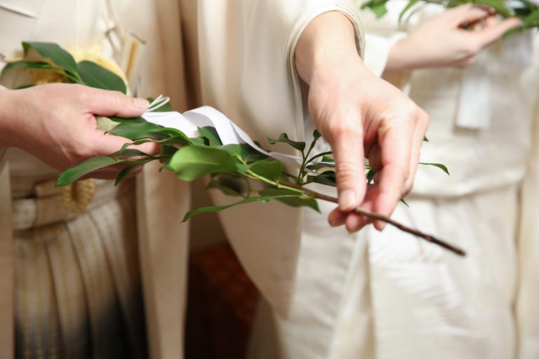 桜の下での神社結婚式