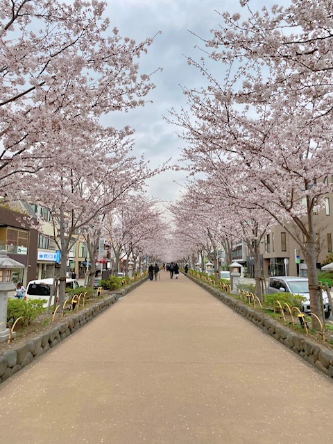 毎日約2時間かけて通勤しています!