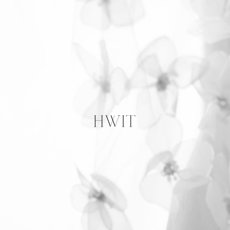 文化を、未来へ。想いを、世界へ。HWITが挑む海外展開