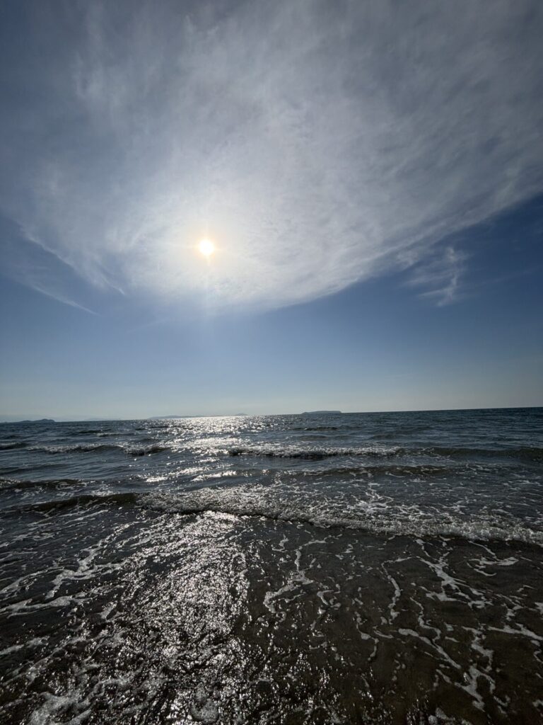 内定式＆内定者合宿に参加してきました！