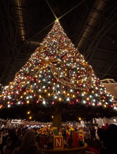 私の新しい習慣