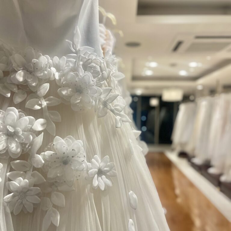 異動して半年が経ちました！