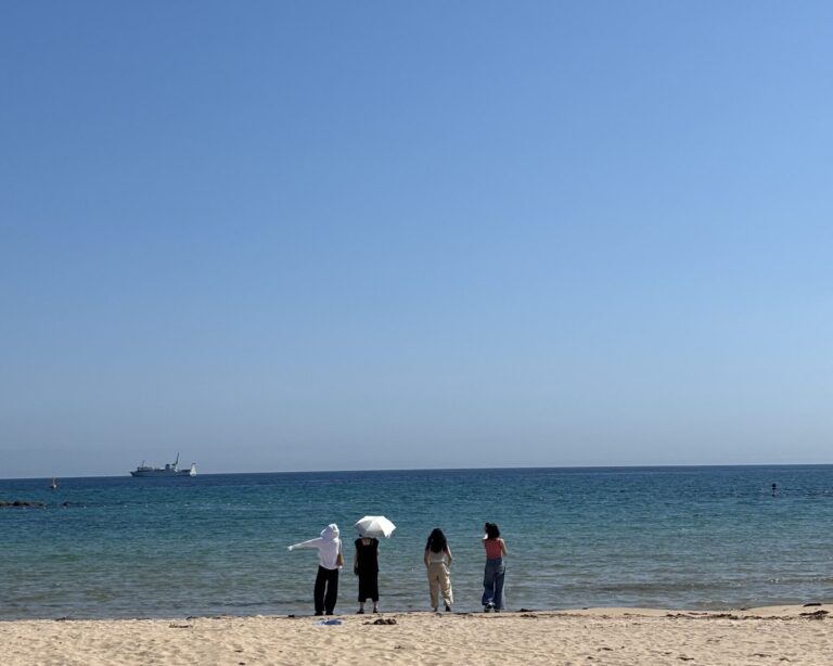 私の転職について