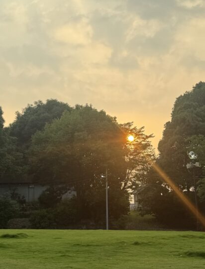 私の言動力になる言葉