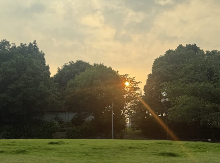 私の言動力になる言葉