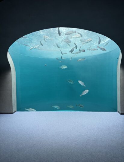 休日を楽しむ！リフレッシュ休暇の使い方