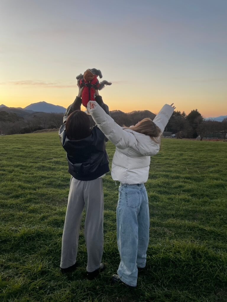 私の休日の過ごし方