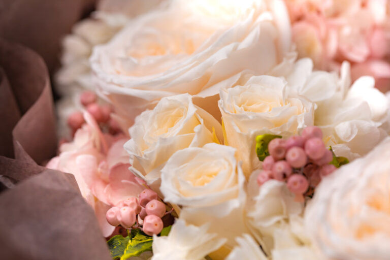 1年目で実感したDress The Lifeの良さ